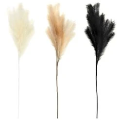 B&M Pampas Stem - Cream 7 B&M Pampas Stem - Cream -Household Product Store 372800 395541 394382 pamas stem group