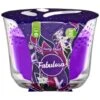 Fabulosa Scented Candle - Fairy Dust -Household Product Store 377620 225g candle fairy dust