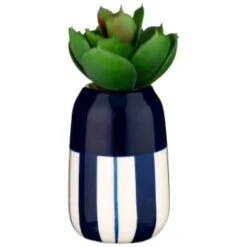 B&M Small Succulent 11 B&M Small Succulent -Household Product Store 380107 small succulent 5