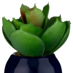 B&M Small Succulent 14 B&M Small Succulent -Household Product Store 380107 small succulent 6