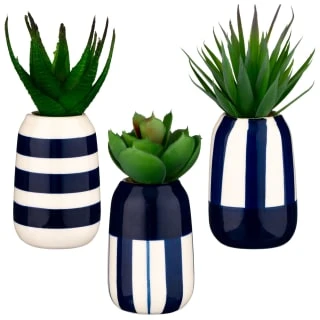 B&M Small Succulent 3 B&M Small Succulent