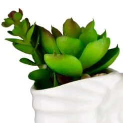 B&M Scandi Shore Small Shell Succulent -Household Product Store 380110 small shell succulent 2