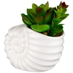 B&M Scandi Shore Small Shell Succulent -Household Product Store 380110 small shell succulent 3