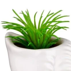 B&M Scandi Shore Small Shell Succulent -Household Product Store 380110 small shell succulent 5