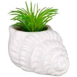 B&M Scandi Shore Small Shell Succulent -Household Product Store 380110 small shell succulent 6