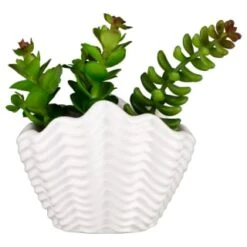 B&M Scandi Shore Small Shell Succulent -Household Product Store 380110 small shell succulent 7