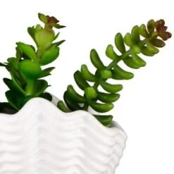 B&M Scandi Shore Small Shell Succulent -Household Product Store 380110 small shell succulent 8