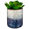 B&M Scandi Shore Succulent -Household Product Store 380125 scandi succulent