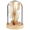 B&M Dried Flowers In Cloche - Natural 2 B&M Dried Flowers In Cloche - Natural -Household Product Store 380163 dried flowers in cloche
