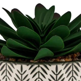 B&M Succulent In Botanist Print Pot - Green 4 B&M Succulent In Botanist Print Pot - Green - Image 2