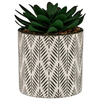 B&M Succulent In Botanist Print Pot - Green 3 B&M Succulent In Botanist Print Pot - Green