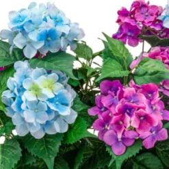 Bloom Basic Window Box - Hydrangea -Household Product Store 392827 basic window box hydrangea 2