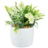 Bloom Mixed Flowers In Pot - White -Household Product Store 392829 mixed flowers in pot cream