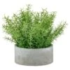 Bloom Large Green Foliage In Cement Pot -Household Product Store 392861 large green foliage in cement