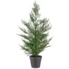 Bloom Conifer Tree In Plant Pot 1 Bloom Conifer Tree In Plant Pot -Household Product Store 392865 conifer tree in plant pot
