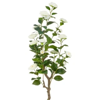 Bloom Rose Tree - White 4 Bloom Rose Tree - White - Image 2