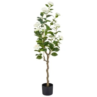 Bloom Rose Tree - White 3 Bloom Rose Tree - White
