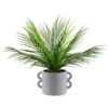 B&M Fern In Double Handle Pot 2 B&M Fern In Double Handle Pot -Household Product Store 394340 fern in double handle pot